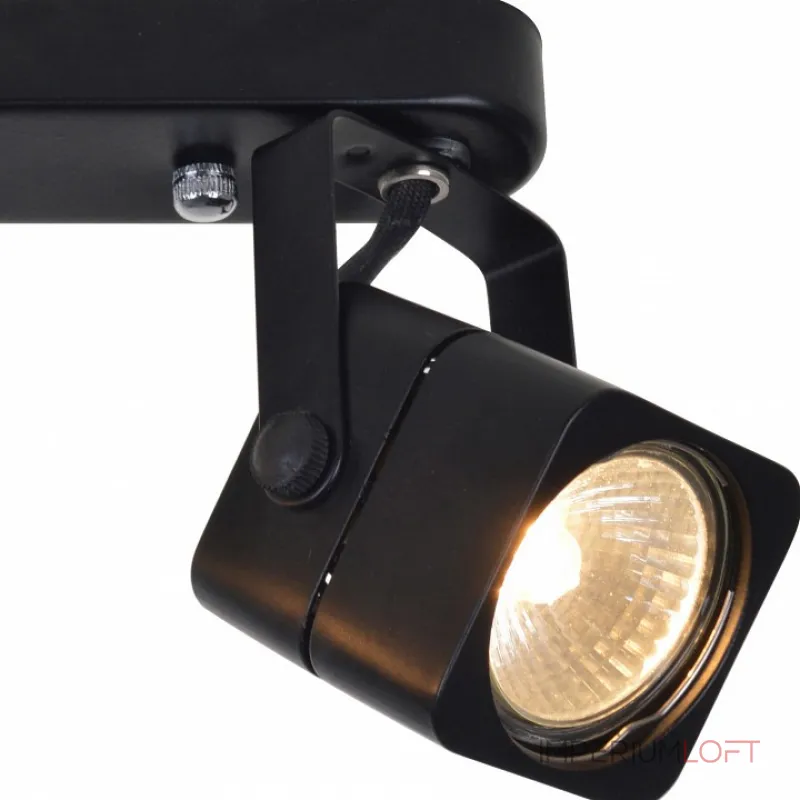 Спот Arte Lamp Lente A1314PL-2BK Цвет арматуры черный Цвет плафонов черный от ImperiumLoft