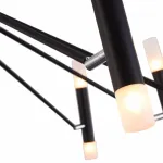 Потолочная люстра Maytoni MOD620CL-24B