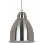 Подвесной светильник Arte Lamp Braccio A2054SP-1SS 