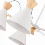 Люстра на штанге EVOLUCE Modica SLE125102-05 