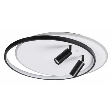 Потолочная люстра Lumion Naoko 5603/75CL