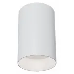 Накладной светильник Maytoni Alfa C014CL-01W Цвет арматуры белый от ImperiumLoft
