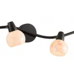 Спот Citilux Соната CL520545 Цвет арматуры коричневый Цвет плафонов кремовый от ImperiumLoft