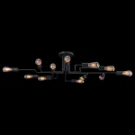 Потолочная люстра Maytoni Gilbert T532CL-12B 