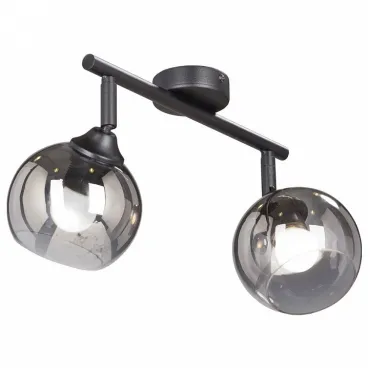 Спот Vitaluce 4313 V4313-1/2PL Цвет арматуры черный Цвет плафонов серый