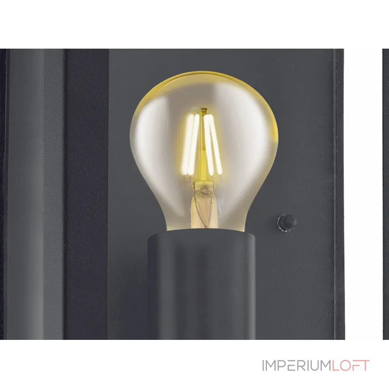 Накладной светильник Eglo Alamonte 1 94831 Цвет арматуры черный Цвет плафонов прозрачный от ImperiumLoft