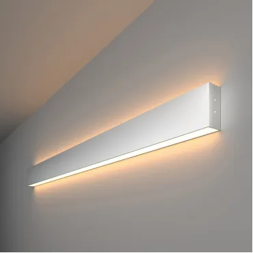 Накладной светильник Elektrostandard 101-100-40-103 a041468 Цвет арматуры серебро