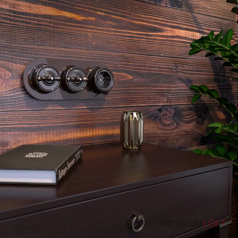 Выключатель на 4 положения двухклавишный без рамки Werkel коричневый Ретро W5620014 от ImperiumLoft