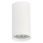 Накладной светильник ST-Luce ST157 ST157.542.15 от ImperiumLoft