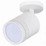 Спот ST-Luce Cerrione ST101.572.05 Цвет арматуры белый Цвет плафонов белый от ImperiumLoft