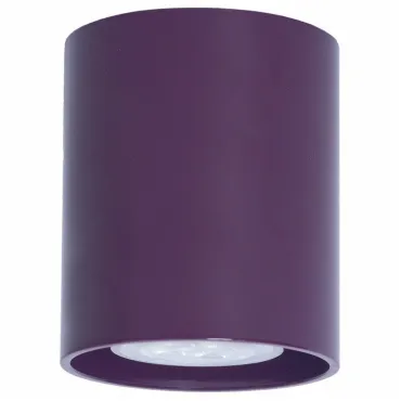 Накладной светильник TopDecor Tubo 8 Tubo8 P1 23 Цвет арматуры фиолетовый Накладной светильник TopDecor Tubo 8 Tubo8 P1 23 Цвет арматуры фиолетовый