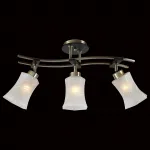 Потолочная люстра Citilux Мерида CL142133 