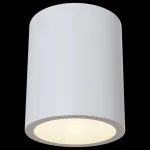 Накладной светильник Maytoni Conik gyps C001CW-01W Цвет арматуры белый Цвет плафонов белый от ImperiumLoft