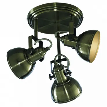 Спот Arte Lamp Martin A5213PL-3AB Цвет арматуры бронза Цвет плафонов бронза
