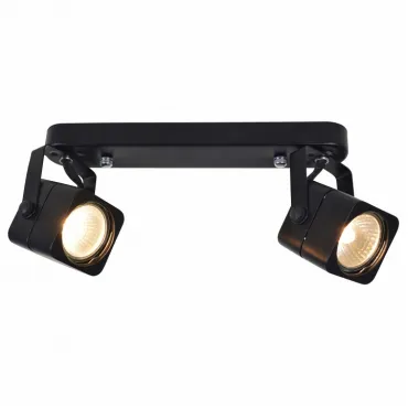 Спот Arte Lamp Lente A1314PL-2BK Цвет арматуры черный Цвет плафонов черный