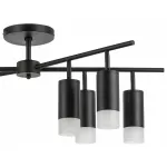 Потолочная люстра Lightstar Rullo LR7283781