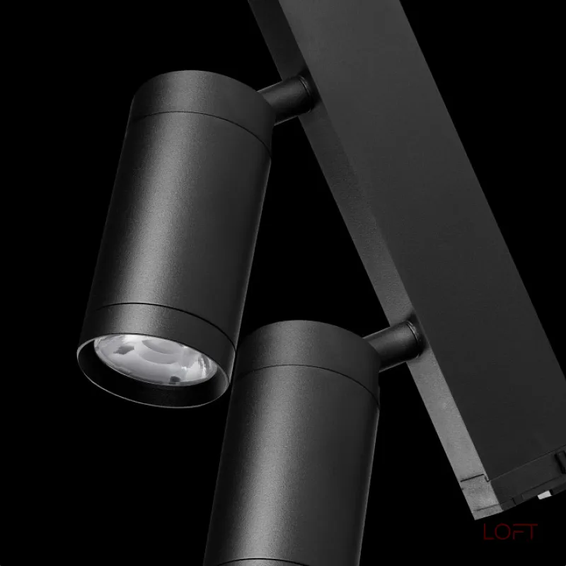 Светильник на штанге Lightstar Teta 205507 от ImperiumLoft