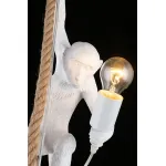 Подвесной светильник Aployt Magali APL.309.06.01 от ImperiumLoft