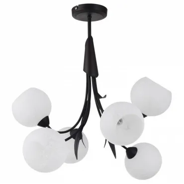 Подвесная люстра Lussole Bagheria LSF-6293-06 