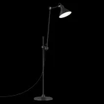 Торшер Lightstar Loft 765717 Цвет арматуры черный Цвет плафонов черный от ImperiumLoft