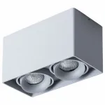 Накладной светильник Arte Lamp Pictor A5654PL-2GY от ImperiumLoft