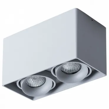 Накладной светильник Arte Lamp Pictor A5654PL-2GY Накладной светильник Arte Lamp Pictor A5654PL-2GY