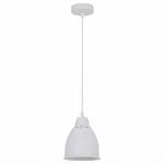 Подвесной светильник Arte Lamp Braccio A2054SP-1WH 