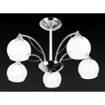 Люстра на штанге TopLight Alberta TL7160X-05CH 