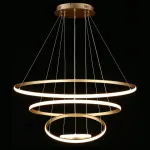 Подвесная люстра Aployt Janina APL.018.13.100