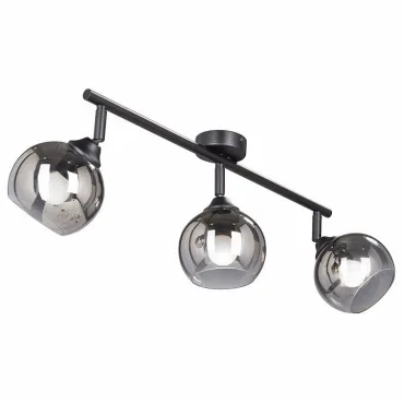 Спот Vitaluce 4313 V4313-1/3PL Цвет арматуры черный Цвет плафонов серый