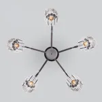 Потолочная люстра 70090/5