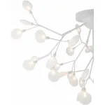 Потолочная люстра Freya FR5049CL-36W1