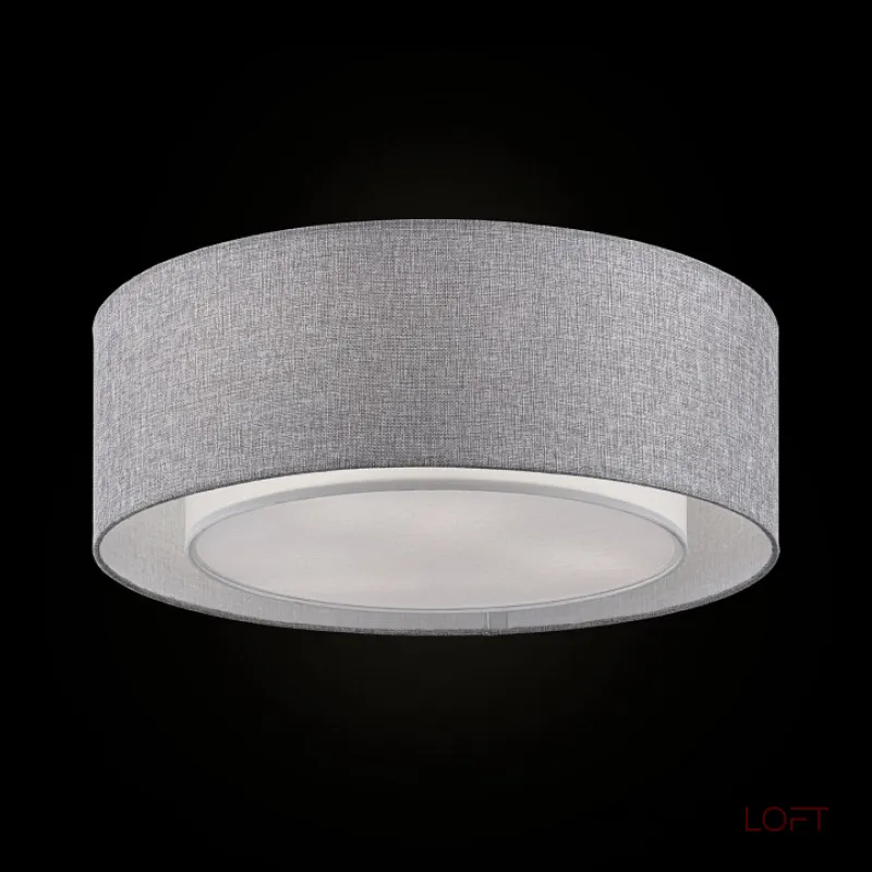 Потолочный светильник Maytoni MOD613CL-04GR