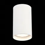 Накладной светильник ST-Luce ST157 ST157.542.20 от ImperiumLoft