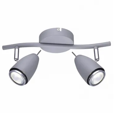 Спот Arte Lamp Regista A1966AP-2GY Цвет арматуры серый Цвет плафонов серый Спот Arte Lamp Regista A1966AP-2GY Цвет арматуры серый Цвет плафонов серый