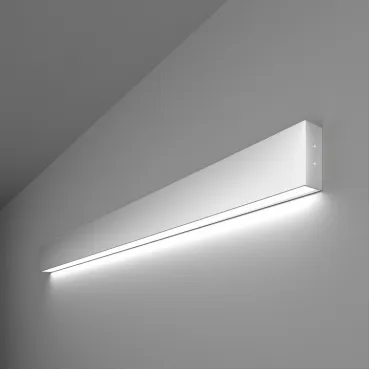 Накладной светильник Elektrostandard 101-100-30-103 a041482 Цвет арматуры серебро