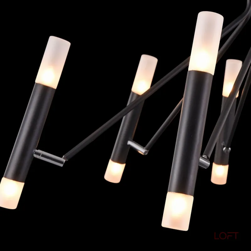 Потолочная люстра Maytoni MOD620CL-16B