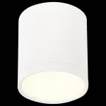 Накладной светильник ST-Luce Rene ST113.532.05 Цвет арматуры белый Цвет плафонов белый от ImperiumLoft