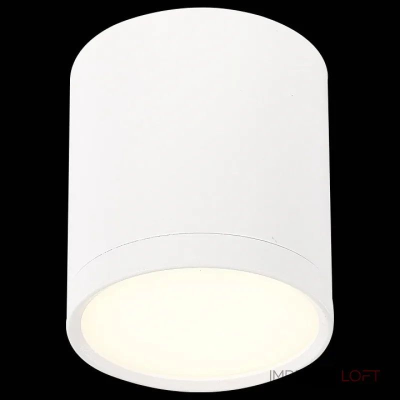 Накладной светильник ST-Luce Rene ST113.532.05 Цвет арматуры белый Цвет плафонов белый от ImperiumLoft