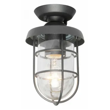 Накладной светильник Favourite Pointer 3021-1P