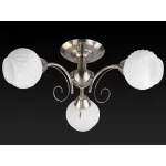 Потолочная люстра TopLight Dana TL3560X-03SN 