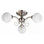 Потолочная люстра TopLight Dana TL3560X-03SN 