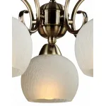Подвесная люстра Arte Lamp Margo A9316LM-5AB 