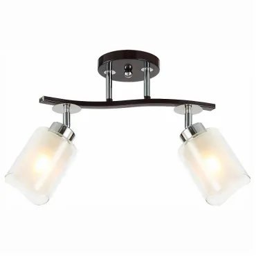 Спот Citilux Фортуна CL156122