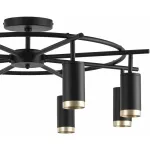 Потолочная люстра Lightstar Rullo LR71837840