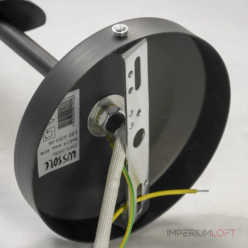 Подвесная люстра Lussole Bagheria LSF-6293-06 