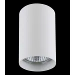 Накладной светильник Lightstar Rullo 214436 Цвет арматуры белый от ImperiumLoft