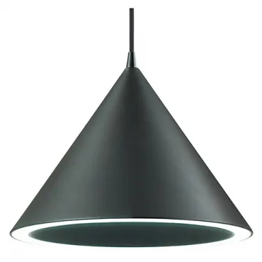 Подвесной светильник Lumion Lenny 3724/24L Подвесной светильник Lumion Lenny 3724/24L