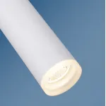 Подвесной светильник Elektrostandard DLR035 DLR035 12W 4200K