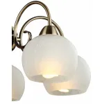 Подвесная люстра Arte Lamp Margo A9316LM-5AB 